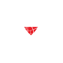 Montaj parbrize Bucuresti si Ilfov